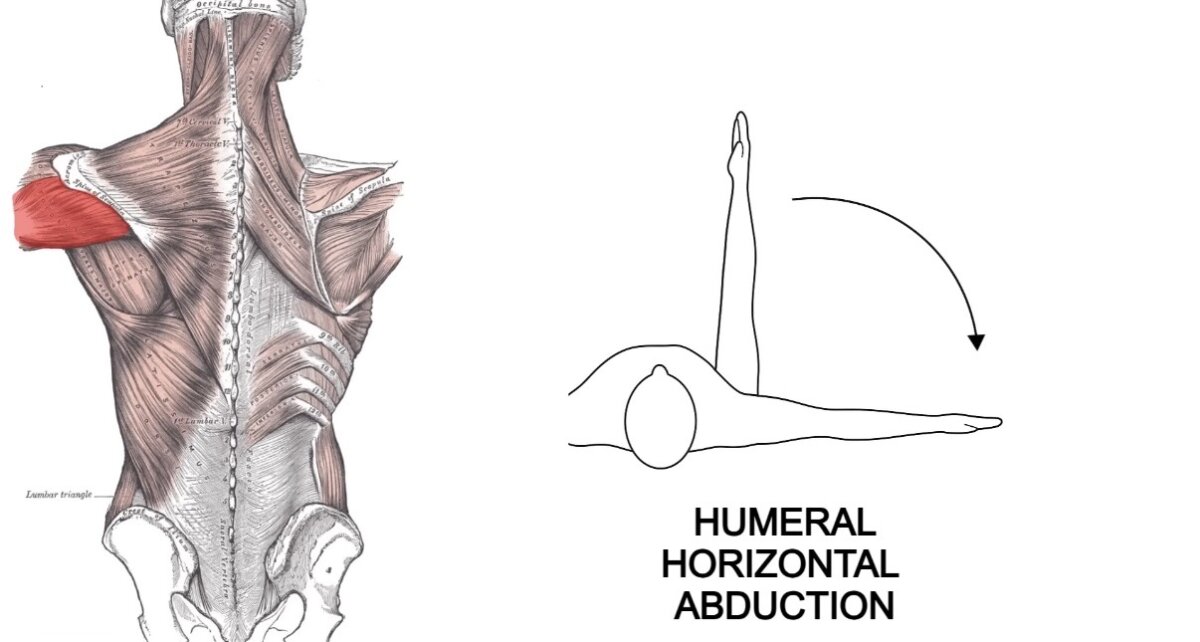 Horizontal abduction