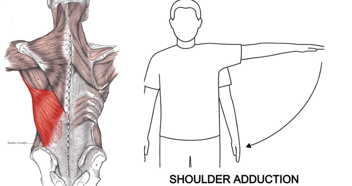 تقريب الذراع باتجاه الجسم (Shoulder Adduction) 