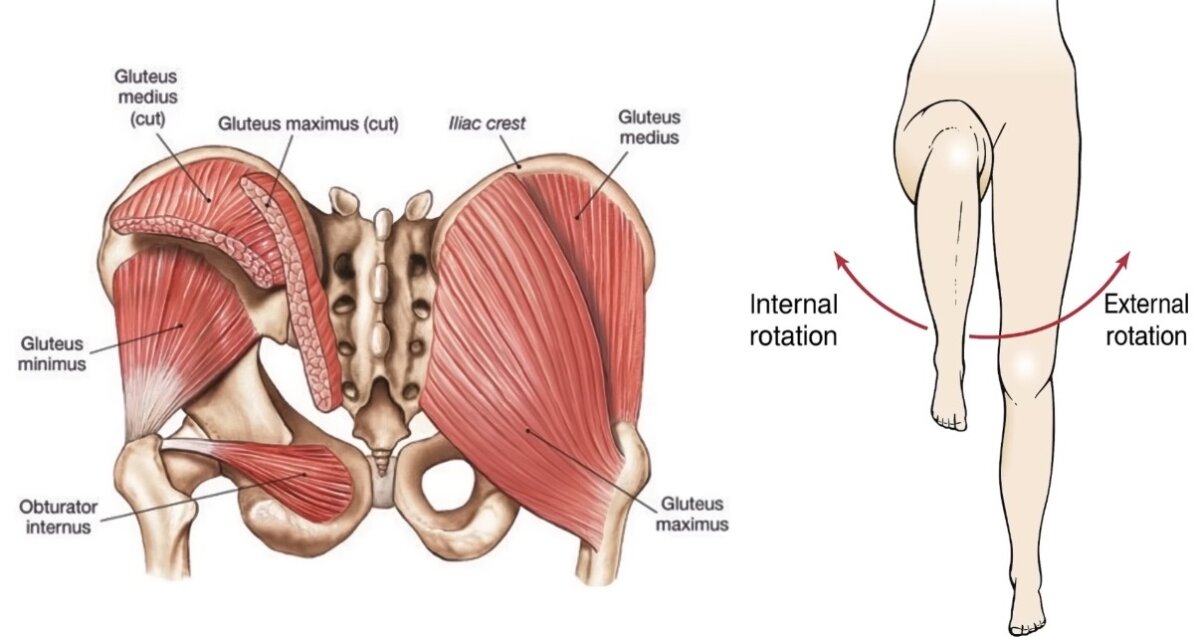 دوران داخلي للأرجل (Internal Rotation).