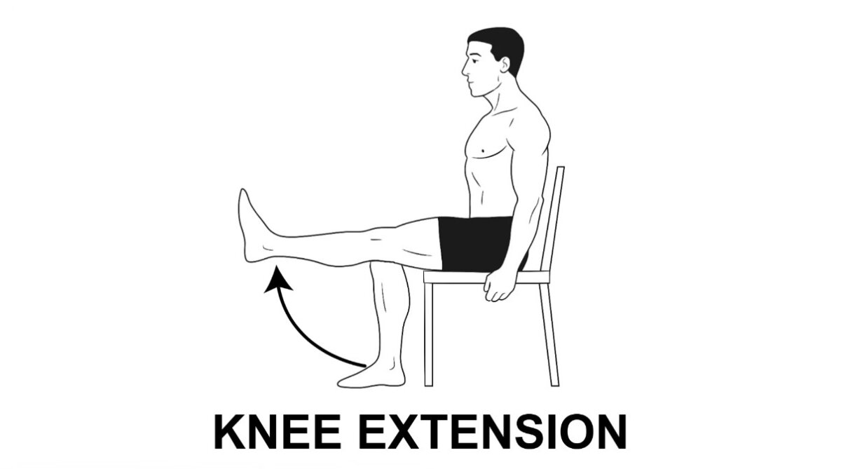 فرد الركبة لاعلى knee extension